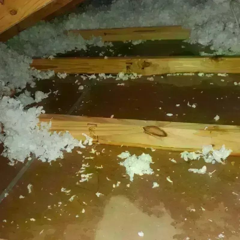 Attic Water Damage in Catron County, NM